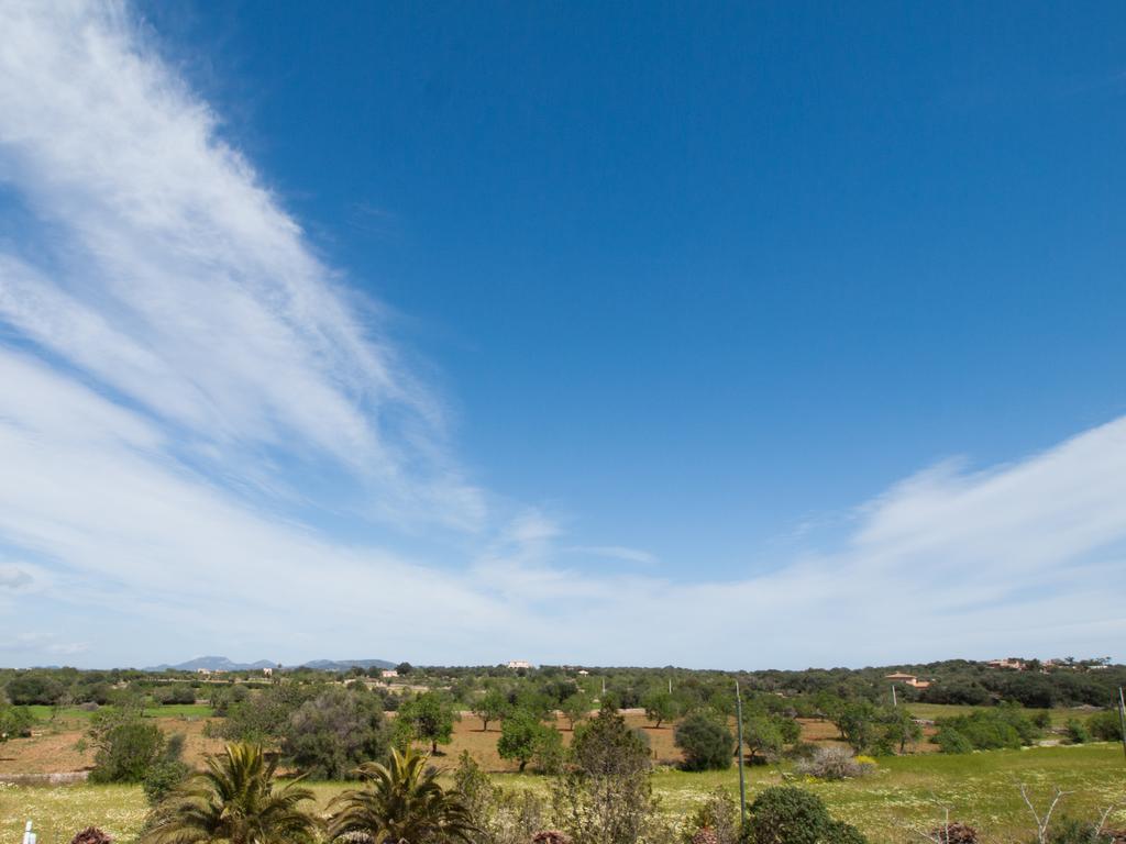 Agroturismo S Hort De Can Carrio Ag226 Ses Salines  Exteriér fotografie